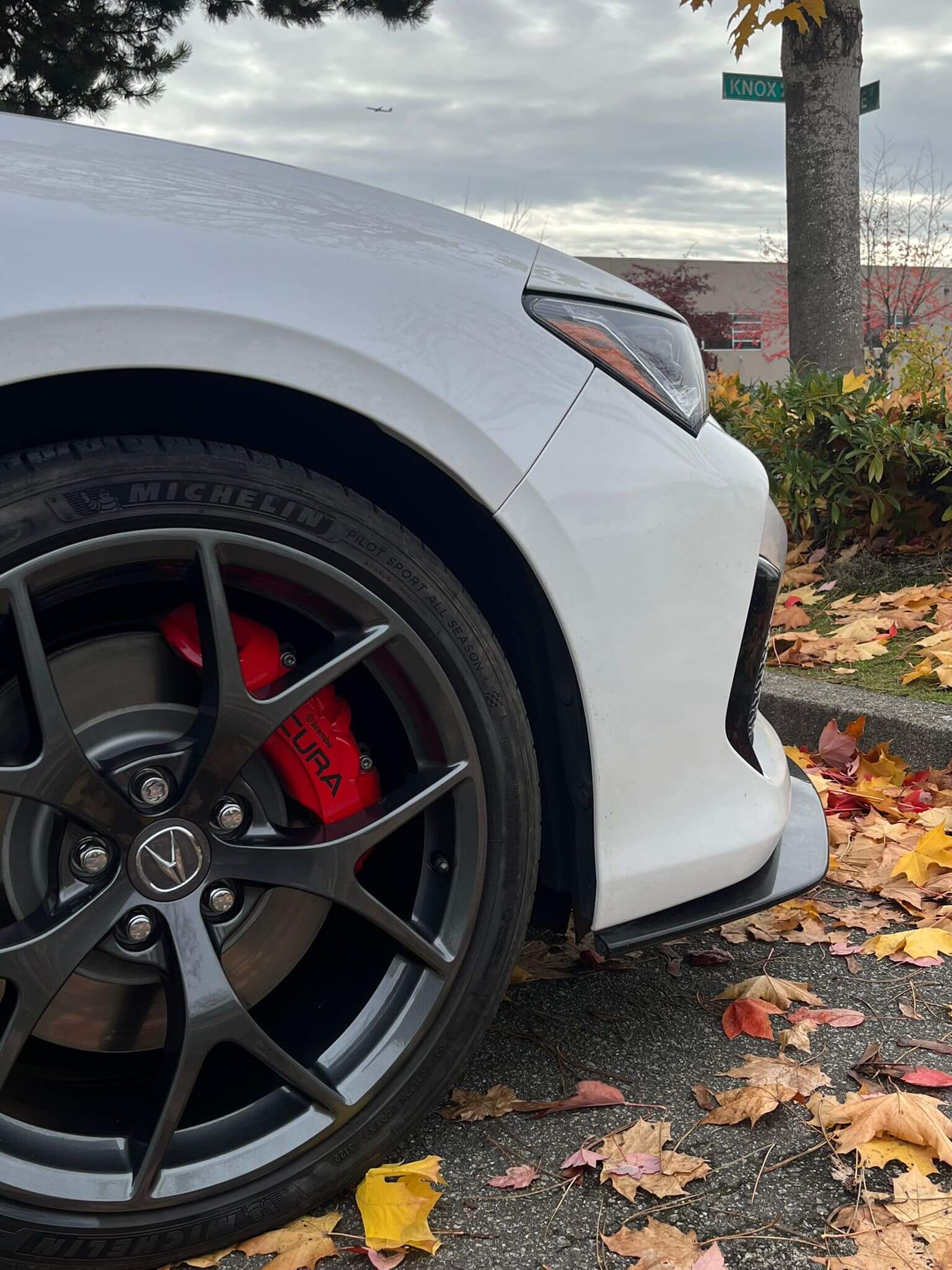 Performance Caliper Paint